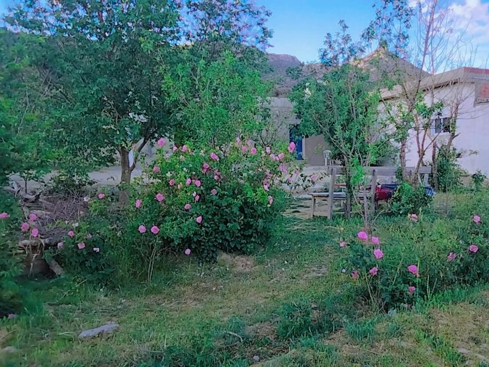 Gite Dayet Chiker Taza Exterior foto